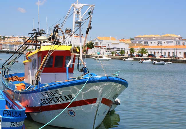 Tavira