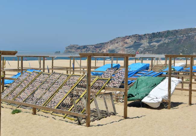 Seca do Peixe (Zona de secado de pescado)