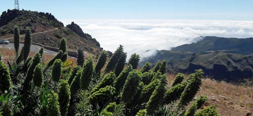 madeira hike routes