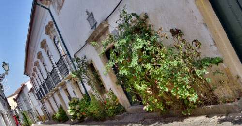 streets of Tomar